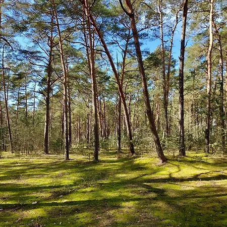 Апартаменты Sonata