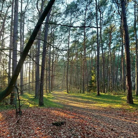 Sonata アパート ミエンジボジェ