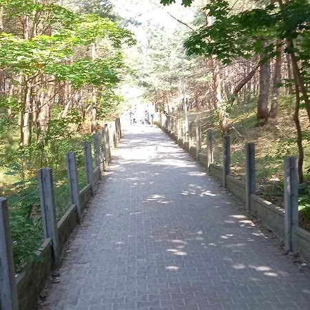 Апартаменты Sonata Мендзыводзе