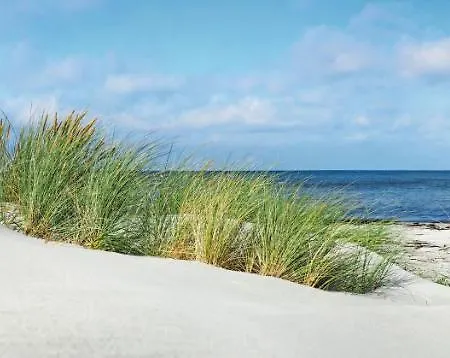 Sonata ミエンジボジェ