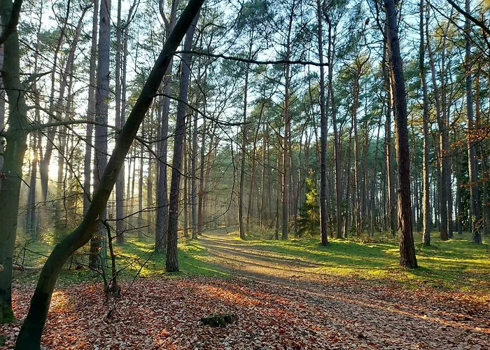 Sonata Apartman Międzywodzie