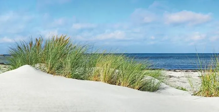 Sonata Międzywodzie